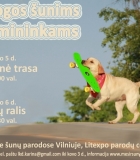 Tarptautinėse parodose – „Olimpinė trasa“ ir „Šunų ralis“