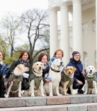 Katedros aikštėje vilniečiai bendravo su terapiniais šunimis
